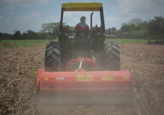 Mulcher Maschio Tornado 310