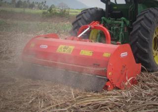 Mulcher Maschio Tornado 310