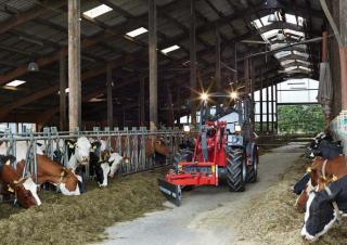 Radlader Weidemann 3080