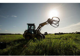 Radlader Caterpillar 903D