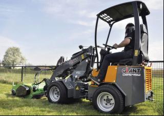 Radlader Giant D 254 SW