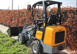 Radlader Giant D 263 SW X-TRA