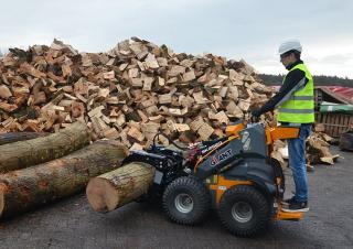 Radlader Giant SK252D