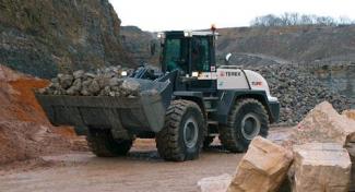 Radlader Terex TL 310