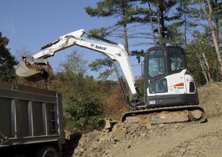 Bobcat