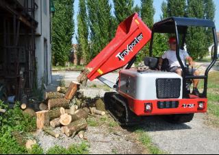 Raupendumper Hinowa TX2500