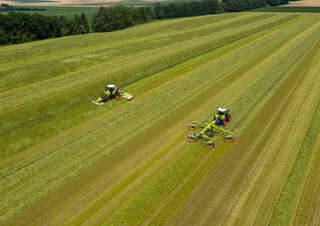 Rotorschwader Claas Liner 4800 Trend 