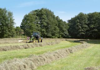 Rotorschwader Krone Swadro 42