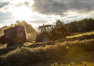 Massey Ferguson