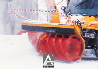 Winterdienste Schneefräsen Assaloni FF 248/1 TR