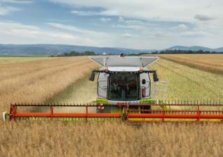 Mähdrescher - Anbaugeräte Mähdrescher-Schneidwerk Claas ConVio Flex 1380
