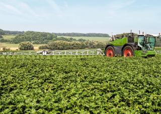Selbstfahrende Feldspritzen Fendt Rogator 655