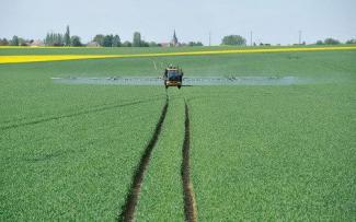 Selbstfahrende Feldspritzen Challenger RoGator 655