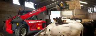 Teleskopen starr Massey Ferguson MF 9205