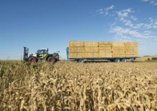 Teleskopen starr Claas Scorpion 6035