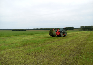 Teleskopen starr Manitou MLT-X 735 T LSU