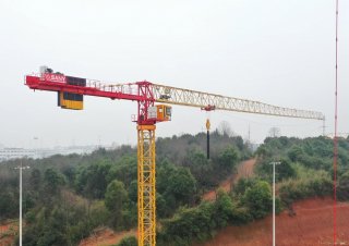 Turmkrane-LK-od Sany SFT255