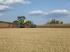 Allrad-Traktoren Claas Axion 920