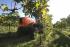 Allrad-Traktoren SAME Frutteto³ S 80 GS DT