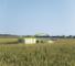 Claas Jaguar 950