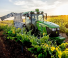 Allrad-Traktoren John Deere 5105EN