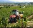 Allrad-Traktoren SAME Frutteto CVT 105 