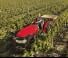 Allrad-Traktoren Case IH Quantum 100 CL Rops