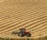 Allrad-Traktoren Case IH Quantum 80 CL