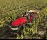 Allrad-Traktoren Case IH Quantum 80 CL Rops
