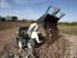 Baggerlader Terex TLB 890