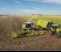 Claas Jaguar 980