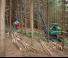 Forstmaschinen Forst-Vollernter Neuson Forest 103HVT