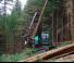 Forstmaschinen Forst-Vollernter Neuson Forest 243HVT