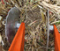 Grubber Kubota CU3300CD APT