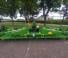 Amazone KG 5002-2