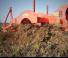 Grubber Maschio Pinocchio 200/5