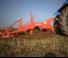 Grubber Maschio Pinocchio 200/5