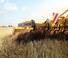 Grubber Agrisem Vibromulch 5.00
