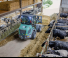 Hoflader Kramer KL21.5L
