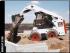Kompaktlader Bobcat S 150