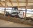 Kompaktlader Bobcat S590
