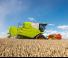 Mähdrescher Claas Avero 240