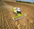 Mähdrescher Claas Lexion 650