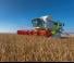 Mähdrescher Claas Lexion 770