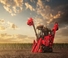 Mähdrescher Case IH Austoft 9900