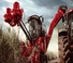 Mähdrescher Case IH Austoft 9900