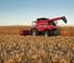 Case IH Axial Flow 7250 