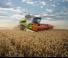 Mähdrescher Claas Lexion 6700 