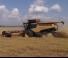 Claas Lexion 730