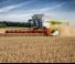 Mähdrescher Claas Lexion 7700 